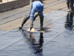 Roof Waterproofing
